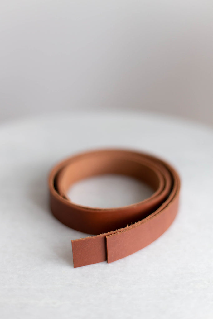 Leather Handles (1