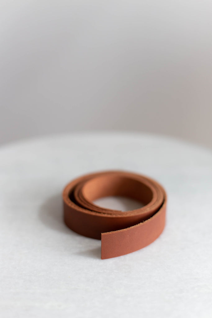Leather Handles (1