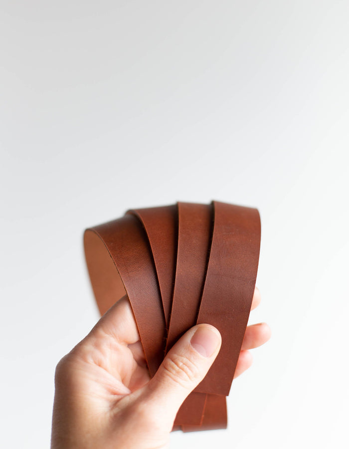 Leather Handles (1